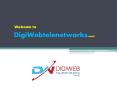 Search engine optimization service - SEO company DigiWeb TeleNetworks PowerPoint PPT Presentation