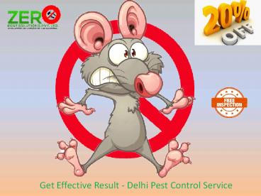Get Effective Result - Delhi Pest Control Service