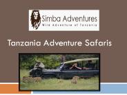 Tanzania Adventure Safaris
