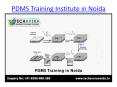 Best PDMS Training in Noida