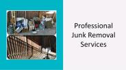 Professional Junk Removal Services