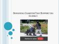 Beneficial Charities That Support the Elderly PowerPoint PPT Presentation