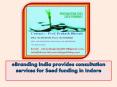 eBranding India provides consultation services for Seed funding in Indore PowerPoint PPT Presentation