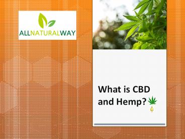 What is CBD and Hemp?