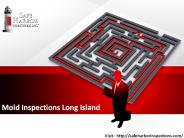 Mold Inspections Long Island