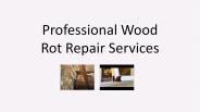 Professional Wood Rot Repair Services