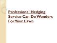 Professional Hedging Service Can Do Wonders For Your Lawn PowerPoint PPT Presentation