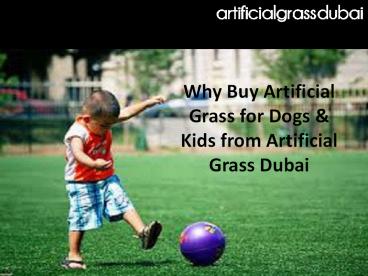 Innovative Ways of Using Artificial Grass Besides Lawn