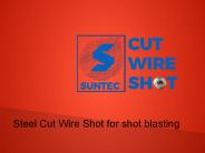 Steel Cut Wire Shot for shot blasting (7)