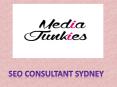 SEO Consultant Sydney (1) PowerPoint PPT Presentation