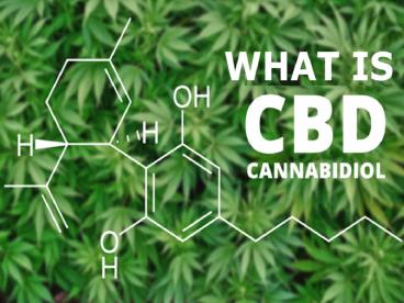 What is CBD Oil?