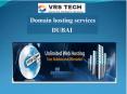 domain hosting services PowerPoint PPT Presentation