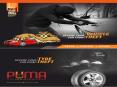 Puma Guard :GPS Car Tracker and Vehicle Tyre Theft Protection System PowerPoint PPT Presentation