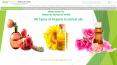 Natures Natural India Provide Best Quality Essential Oils PowerPoint PPT Presentation