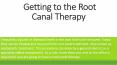 Getting to the Root Canal Therapy PowerPoint PPT Presentation