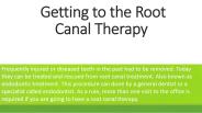 Getting to the Root Canal Therapy