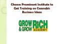 Choose Prominent Institute to Get Training on Cannabis Business Ideas PowerPoint PPT Presentation
