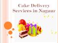 Cake Delivery Services in Nagaur PowerPoint PPT Presentation