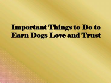 Important Things to Do to Earn Dogs Love and Trust