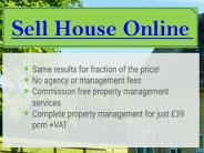 The Online Letting Agents