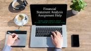 Financial Statement Analysis Assignment Help