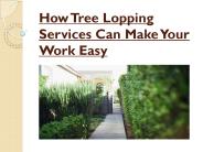 Why Hiring Tree Lopping Services Is The Right Decision