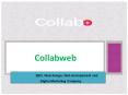 Collabweb Best Internet Marketing Company (1) PowerPoint PPT Presentation