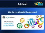 Wordpress Website Development