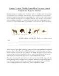Tactical Wildlife Control PowerPoint PPT Presentation