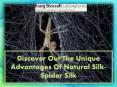 Discover Out The Unique Advantages Of Natural Silk-Spider Silk PowerPoint PPT Presentation