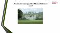 Pesticide chlorpyrifos market report 2017 PowerPoint PPT Presentation