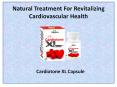 heart, cholesterol, cardiovascular supplement, coronary heart disease | Hashmi Dawakhana