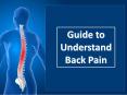 Guide to Understand Back Pain PowerPoint PPT Presentation