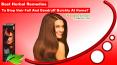 Best Herbal Remedies to Stop Hair Fall and Dandruff Quickly at Home?
