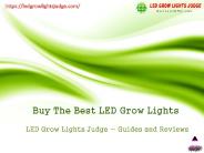 Best LED Grow Lights