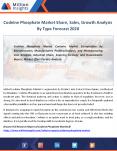 Codeine Phosphate Industry Demand 2020 By Type, Growth Forecast 2020 PowerPoint PPT Presentation