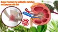 Natural Treatment for Gallbladder Stone Pain and Symptoms with Diet PowerPoint PPT Presentation