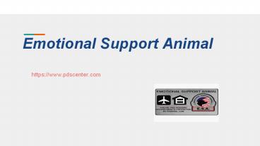 Emotional Support Animal