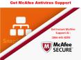 MCAFEE Antivirus Support Number PowerPoint PPT Presentation