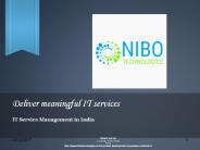IT Service Management in India - NIBO Technologies