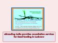 eBranding India provides consultation services for Seed funding in Lucknow PowerPoint PPT Presentation