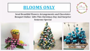 Send Beautiful Flowers Arrangements Online This Christmas Day – Blooms Only