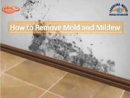 How to Remove Mold and Mildew at Your Home?