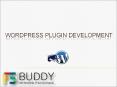 Ultimate Guide to WordPress Plugin Development PowerPoint PPT Presentation