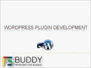 Ultimate Guide to WordPress Plugin Development