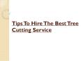 Tips To Hire The Best Tree Cutting Service PowerPoint PPT Presentation