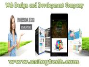 Web Design and Development Company