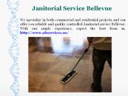 Green Cleaning Services (2)