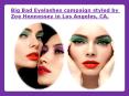 Big bad Eyelashes campaign PowerPoint PPT Presentation