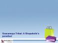 Columbian hand woven bags| Guacamaya Tribal |A Shopaholic's paradise! PowerPoint PPT Presentation